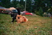 015_11a.jpg